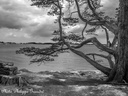 20130827 PhGX10 0043nb