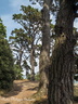 20130827 PhGX10 0055