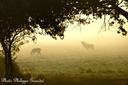 141004PhGD8 089