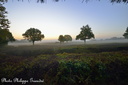 141003PhGD8 008