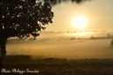 141003PhGD8 053