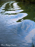 20120929 PhGX10 0066-1