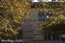 131023 PhGD8 227