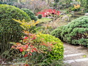 20151117 PhGX10 0120