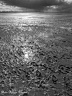 20150914 PhGX10 0174nb