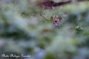 130701 PhGD8 055-1