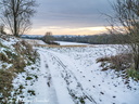 20130115 PhGX10 0031