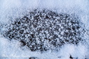 20130116 PhGX10 0033