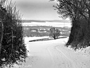 20130119 PhGX10 0059