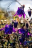 190503PhGD5 057-1