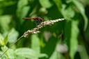 190729PhGD5 154