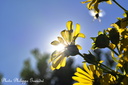 140918PhGD8 056