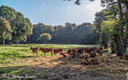 20151004 PhGX10 0038