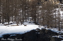 130222 PhGX10 0447-1