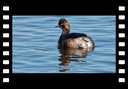 baie de somme hiver 2020 1/2 (4k)